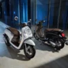 Honda Scoopy