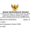 Link Pendaftaran CPNS dan PPPK 2023