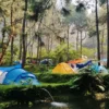 Tempat Camping Terbaik di Bogor dengan Pemandangan Menakjubkan