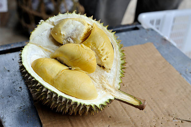 Tempat makan durian Bogor (Ilustrasi Pixabay)