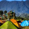 Rekomendasi Tempat Camping Terpopuler di Bogor yang Wajib Kamu Kunjungi!