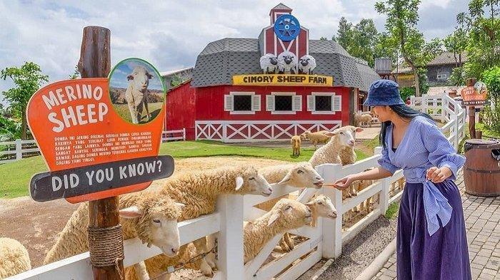 Rekomendasi Wisata Murah di Puncak Bogor, Wajib Kamu Kunjungi!