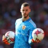 Karir David De Gea