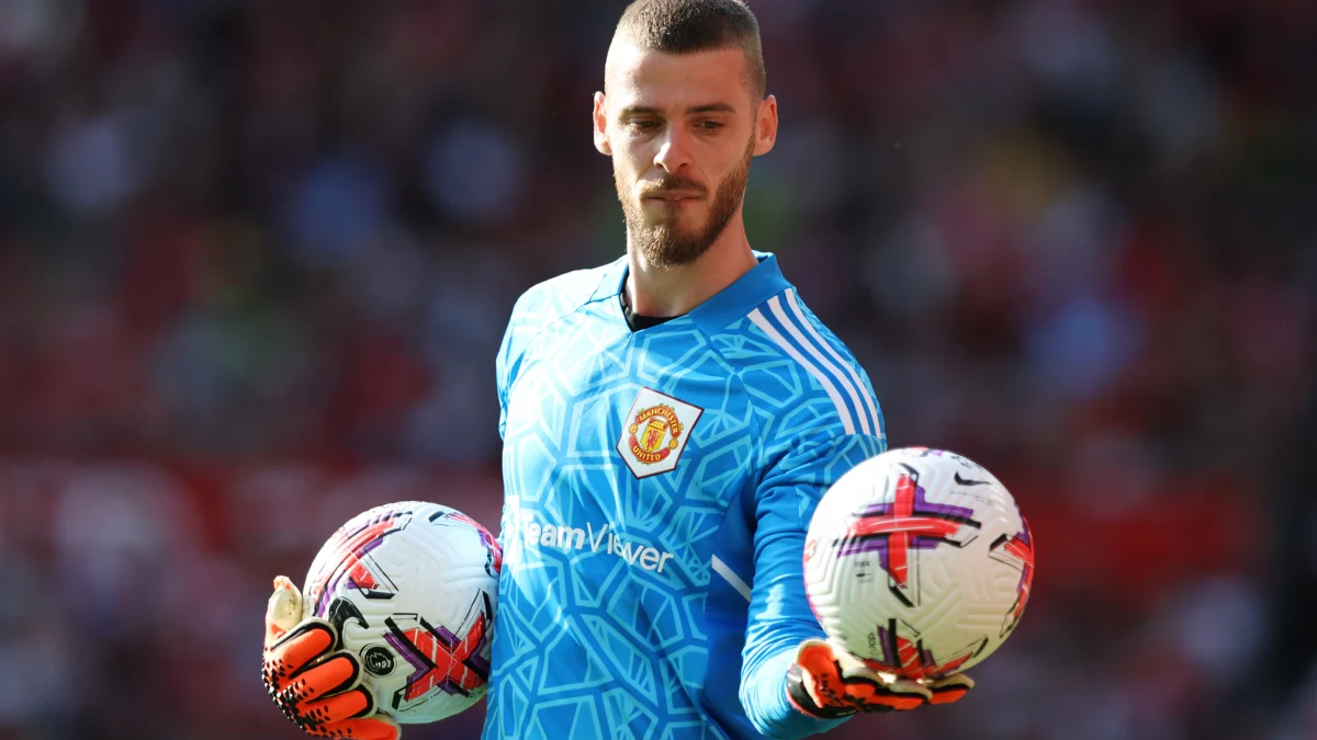 Karir David De Gea