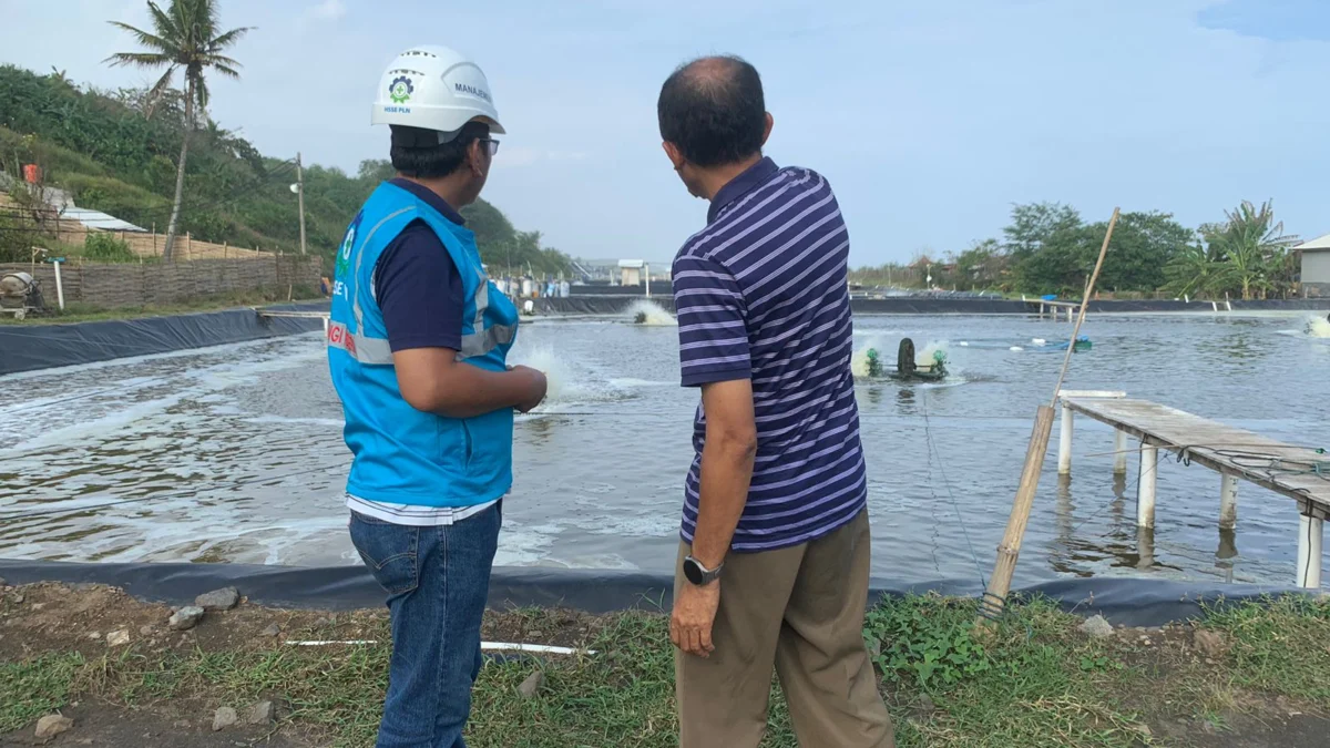 PT CUAN Semakin Cuan dengan Dukungan Listrik PLN