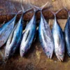 Ikan yang mengandung merkuri (Foto: Pixabay)