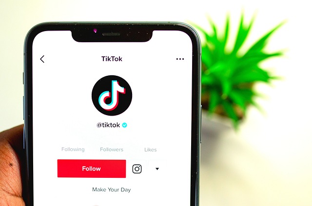 Tok ini atruan tiktok shop terbaru (Ilustrasi: Pixabay)