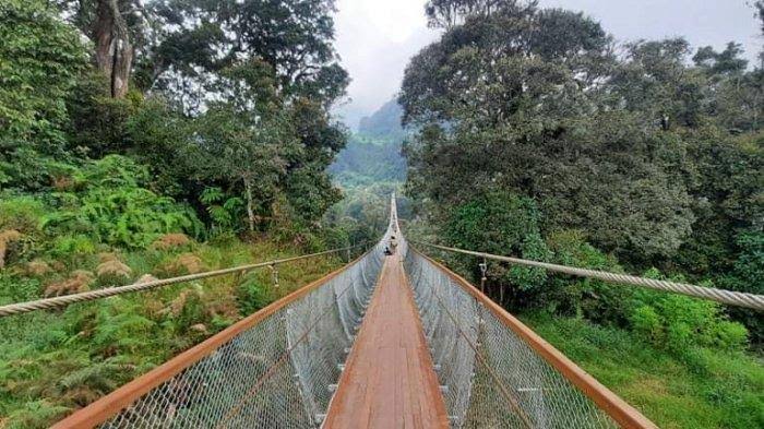 Suspension Bridge Ciwidey