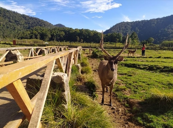 Wisata Alam Lembang