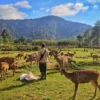 Rekomendasi Wisata Ramah Anak di Bandung Selatan, Dijamin Betah!