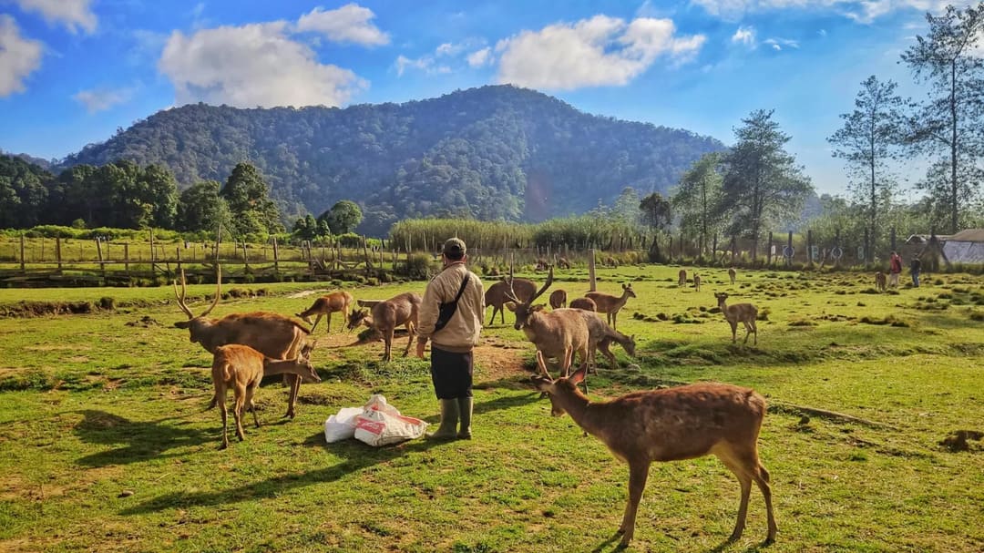 Rekomendasi Wisata Ramah Anak di Bandung Selatan, Dijamin Betah!