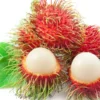 rambutan