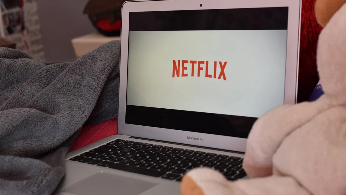 Daftar Film Netflix Rating Tinggi 2023 (Foto: Pixabay)