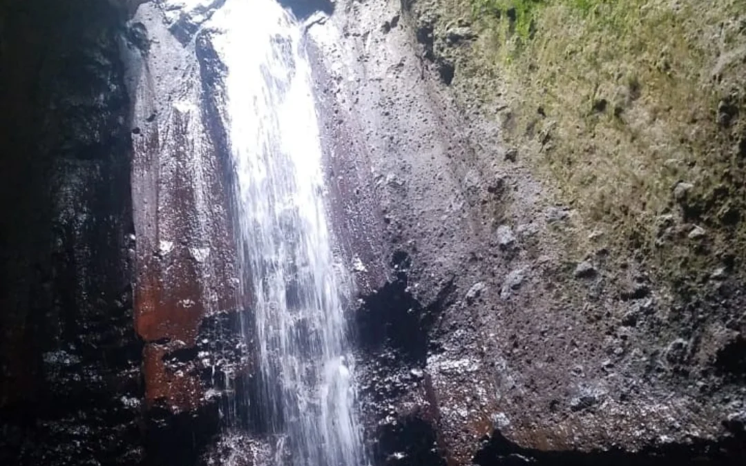 Melirik Ekowisata di DAS Cisarua Cipanas Cianjur, Padukan Potensi Ekonomi dan Keanekaragaman Hayati.