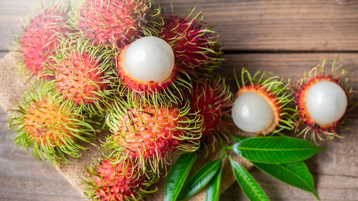 Manfaat Buah Rambutan