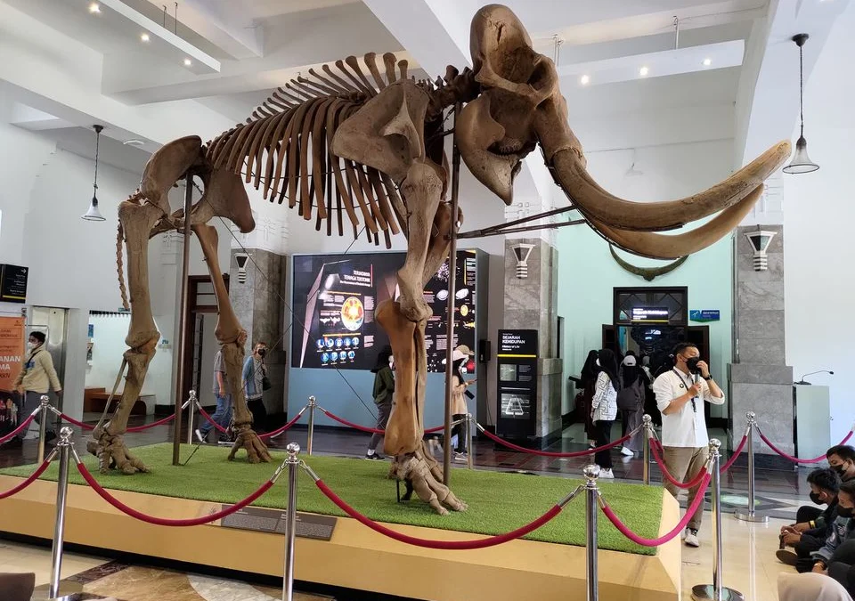 Museum Geologi, Wisata Edukasi Ramah Anak di Kota Bandung