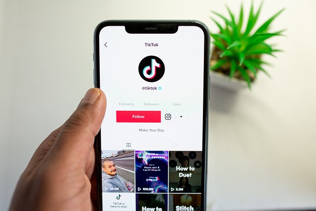 TikTok Shop Resmi tutup