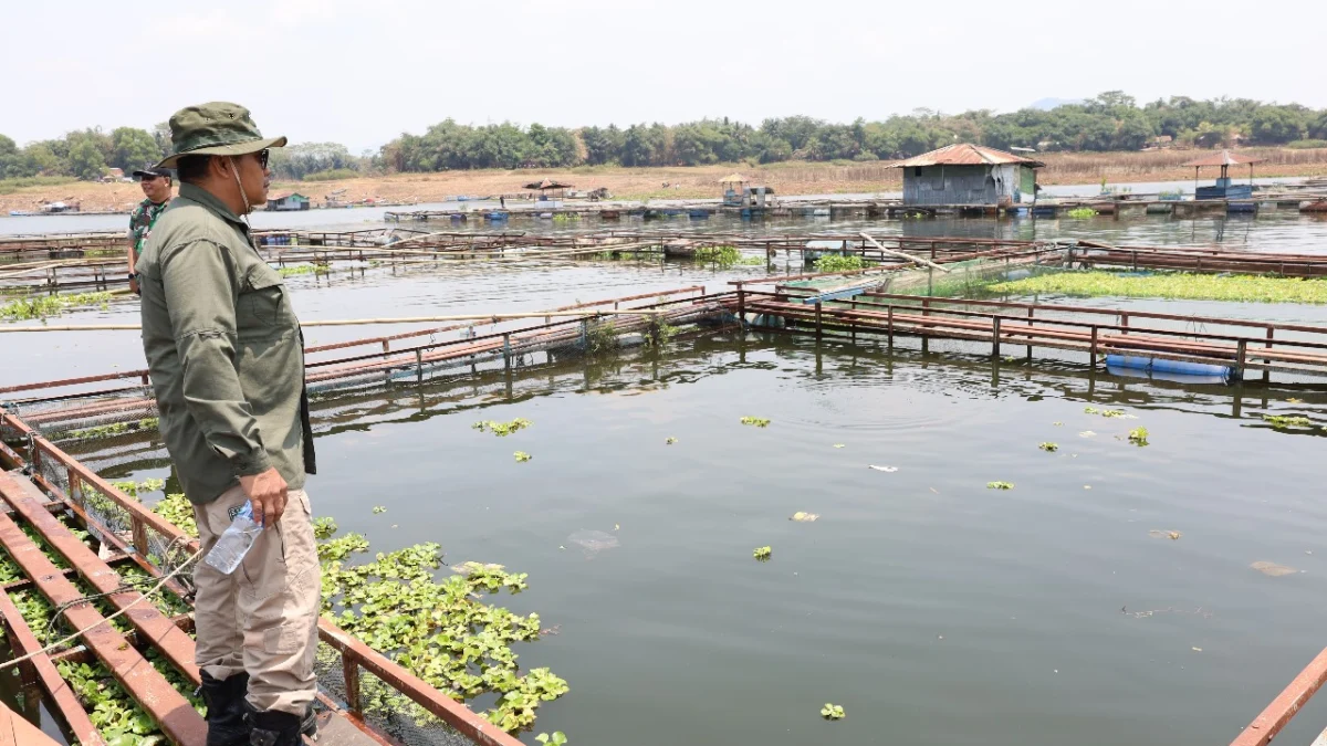 DPKHP Cianjur: Penertiban KJA Dilakukan Bertahap