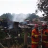 Petugas damkar yang tengah bertugas di lapangan