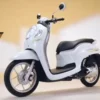 Semakin Menarik! Honda Scoopy Edisi 2024 Hadir dengan Desain Retro Modern