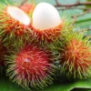 manfaat kulit rambutan