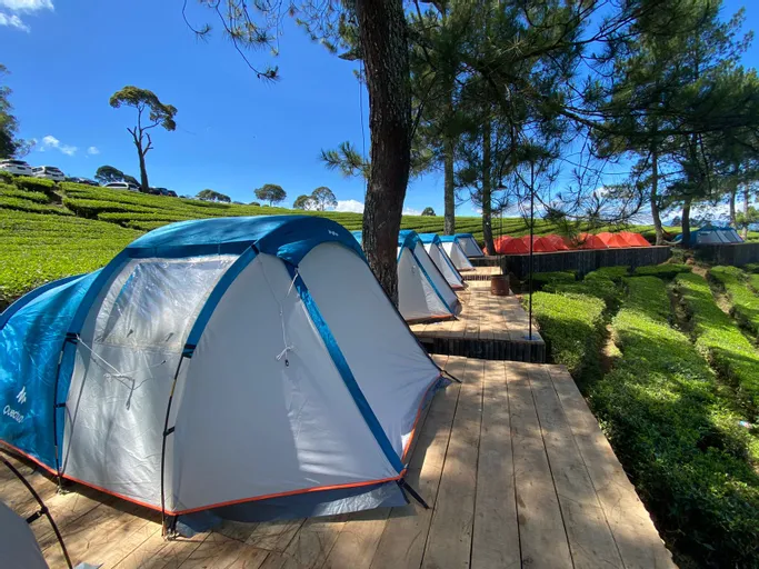 Tempat Camping