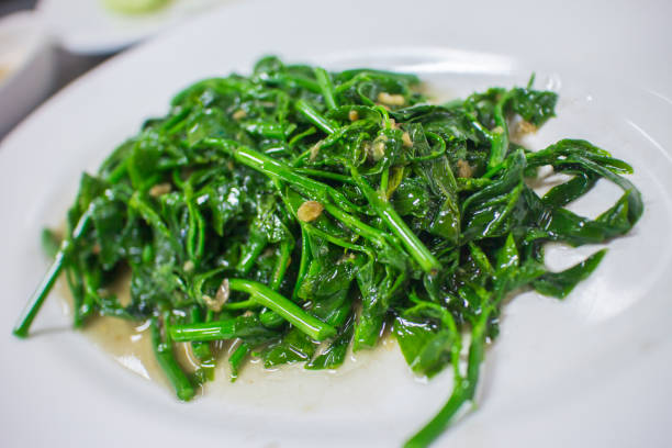 kangkung