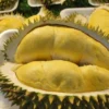 buah durian