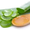 Khasiat Aloevera