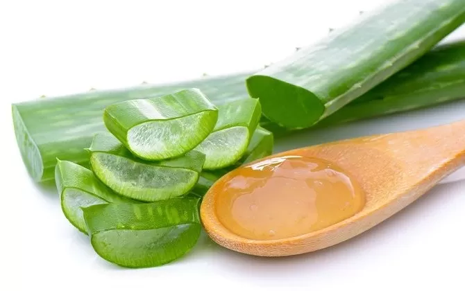 Khasiat Aloevera