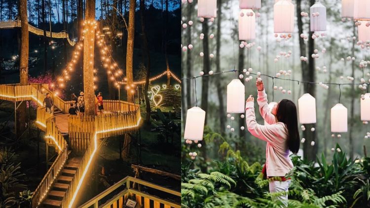 Berlibur di Orchid Forest Cikole Bandung Berasa di Swiss, Tiket Masuk Gratis!