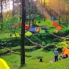 Tempat Camping