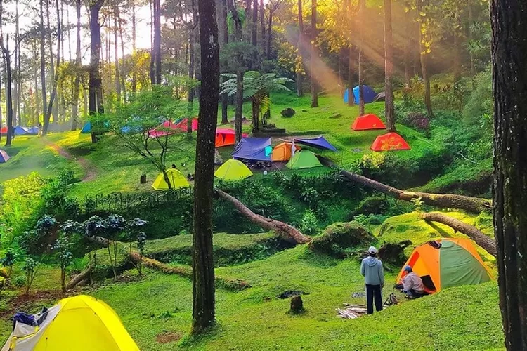 Tempat Camping