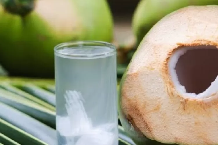 Ketahui Manfaat Minum Air Kelapa di Malam Hari