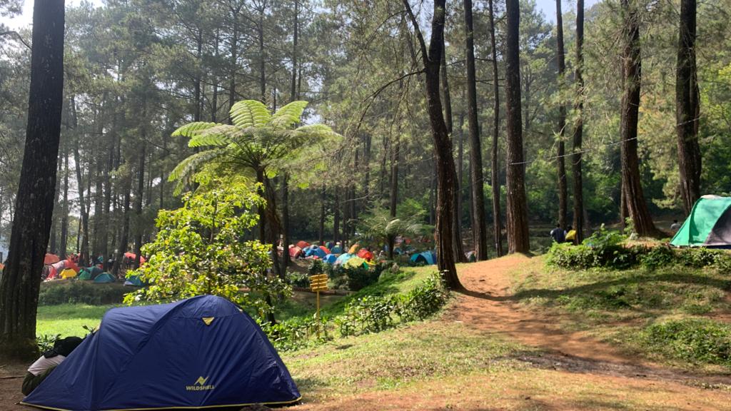 14.510 Orang Camping di Taman Nasional Gunung Gede Pangrango