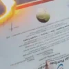 Kronologi perempuan bakar ijazah temannya