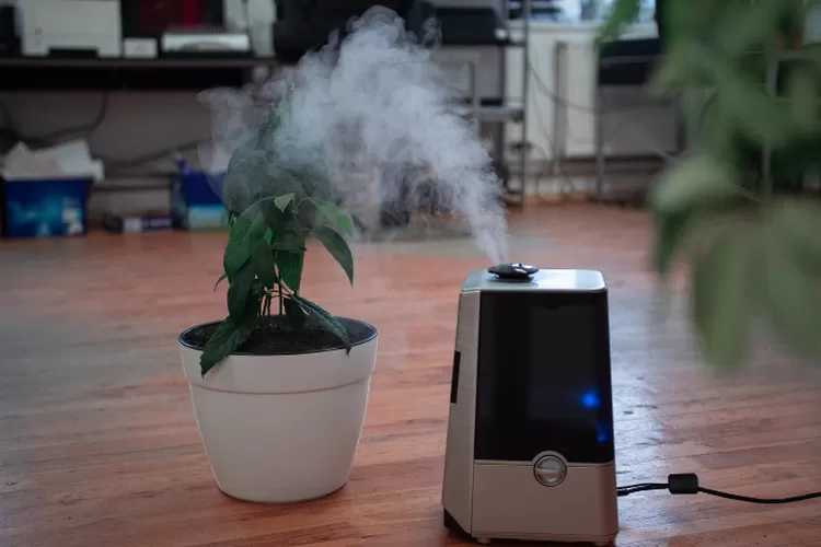 Humidifier Terbaik