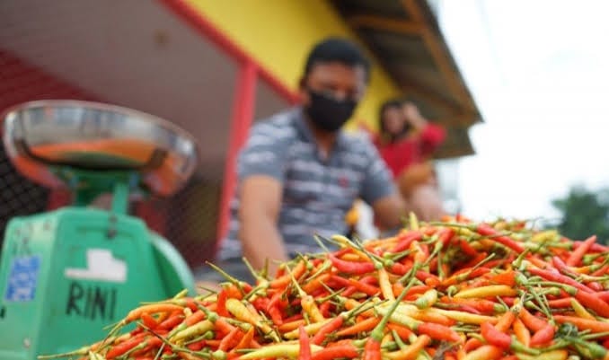 Jelang Akhir Tahun Harga Cabai Meroket. (net)