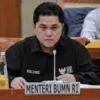 7 Daftar BUMN yang Dibubarkan Erick Thohir Akhir Tahun 2023