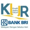 Siap Dibuka ! Ini Syarat dan Prosedur KUR BRI 2024