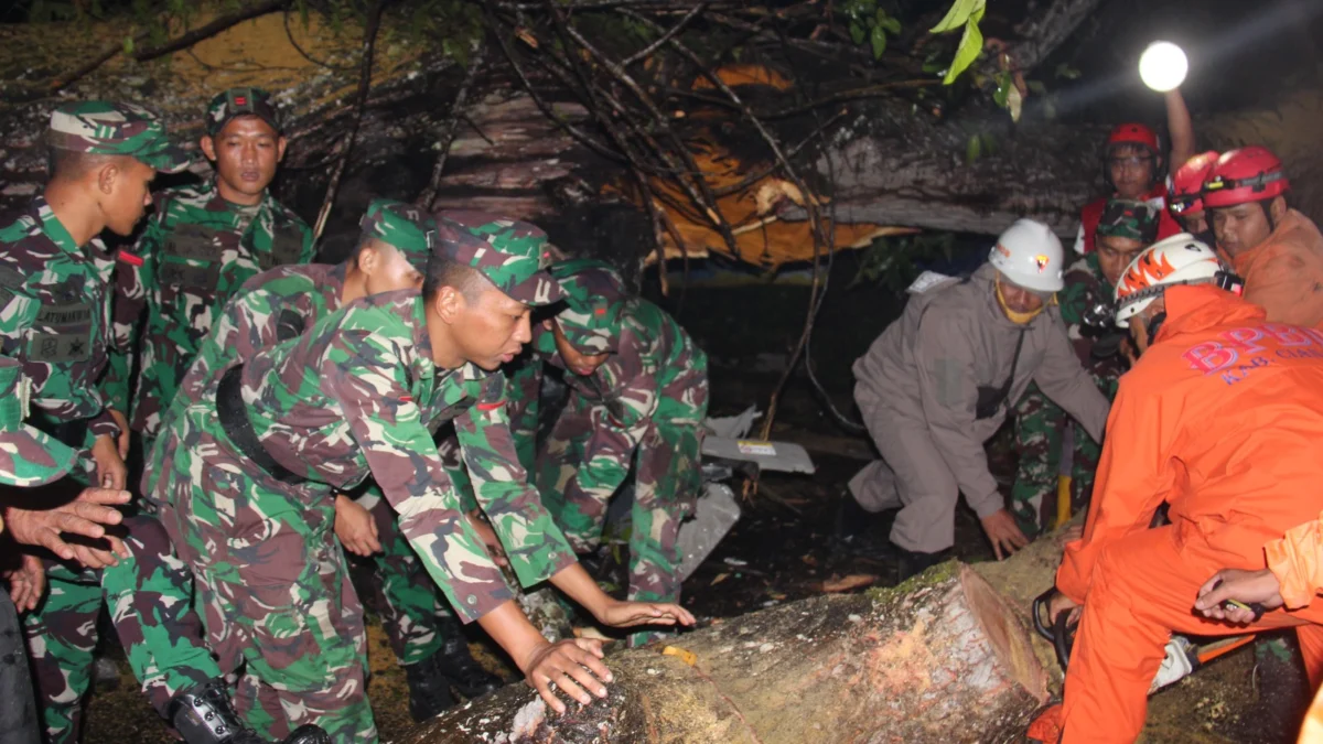 100 Personel TNI Dikerahkan Bantu Evakuasi Pohon Tumbang