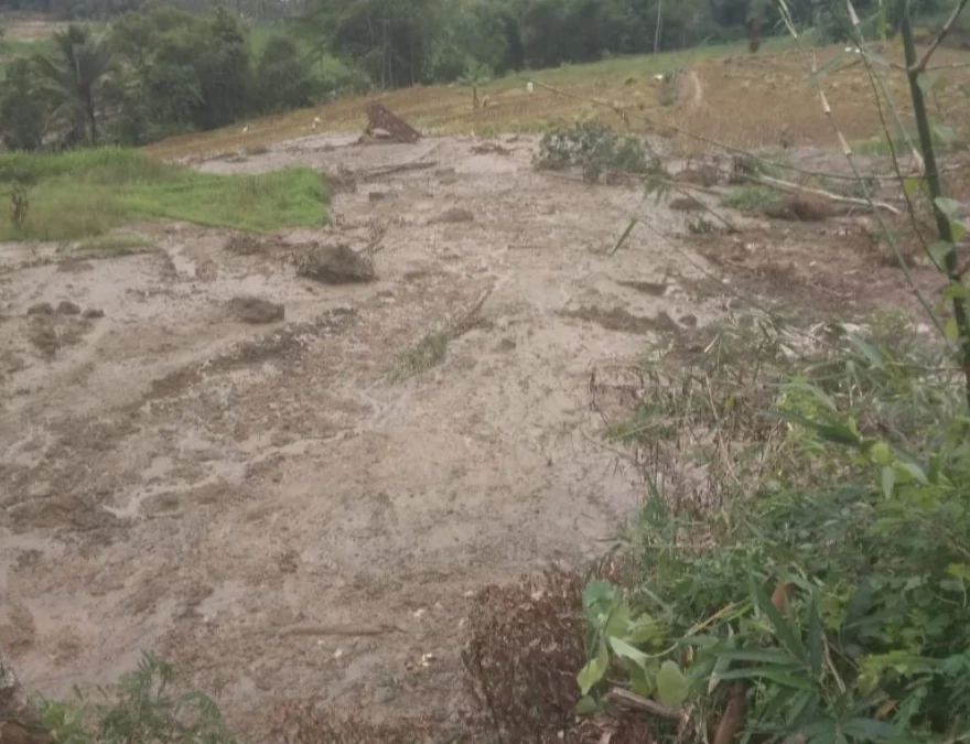 Longsor Pagelaran Cianjur, Putus Jalan Penghubung Desa dan Rusak Ratusan Petak Sawah