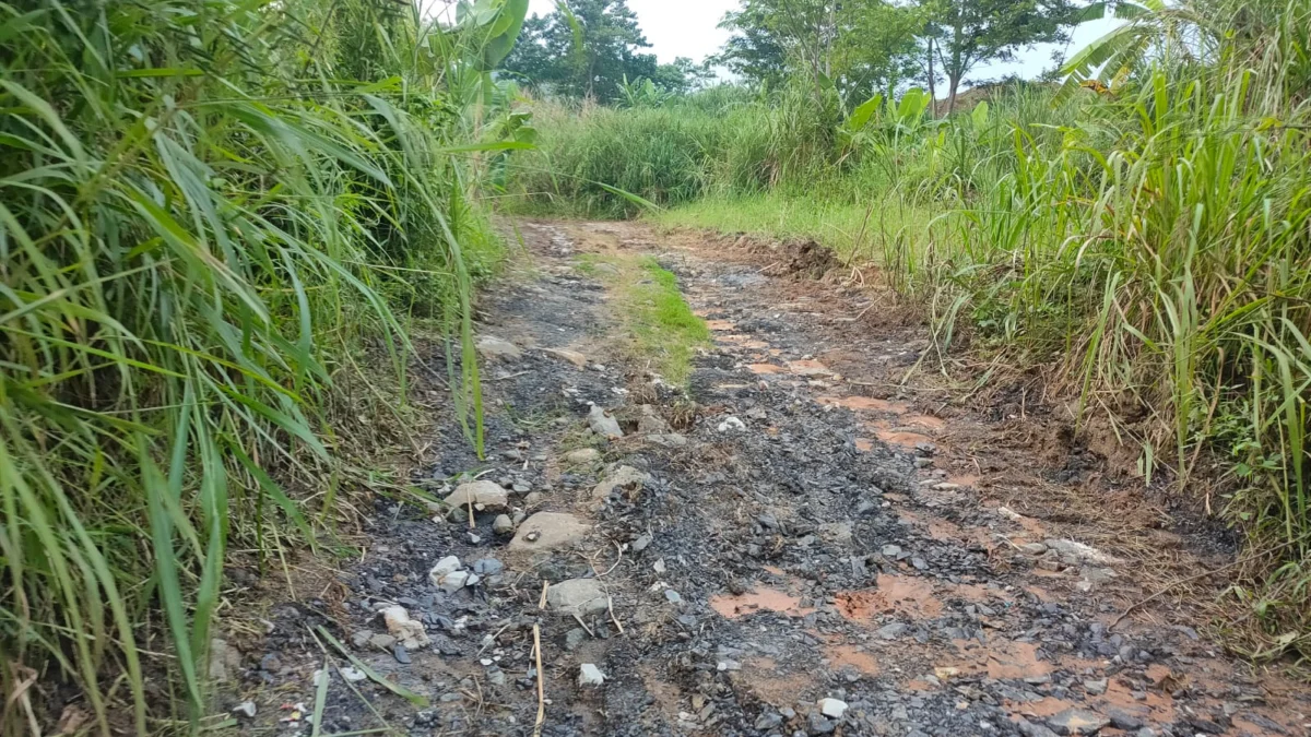 Pemkab Cianjur Anggarkan Rp800 Juta Bangun Akses Jalan TPAS Mekarsari Cikalongkulon