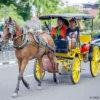 Andong Transportasi Tradisional