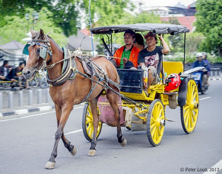 Andong Transportasi Tradisional