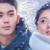 Drama China Badai Cinta 2024