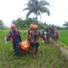 Tenggelam Saat Memancing, Krisna Ditemukan Mengambang di Muara Sungai Cibuni Agrabinta