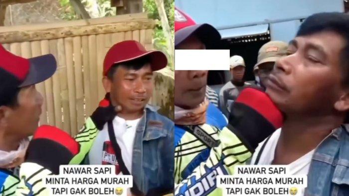 Viral! Tak Mau Sapinya Ditawar Murah, Pedagang Ini Malah Diperlakukan Kasar