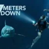 Sinopsis Film 47 Meters Down yang Tayang di Bioskop Trans TV Februari 2024