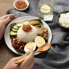 nasi lemak